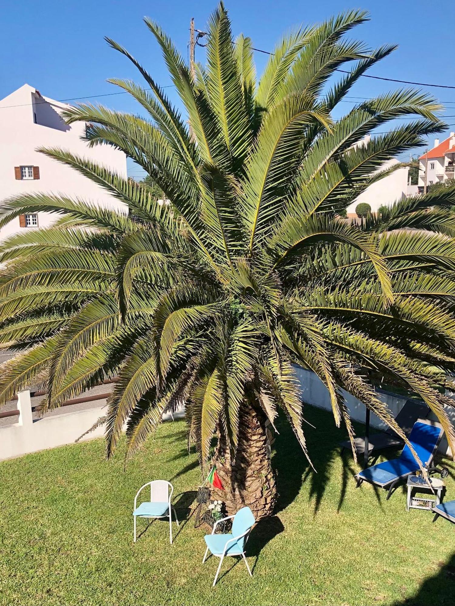 Alojamento Santa Helena Villa А дос Кунядос Екстериор снимка